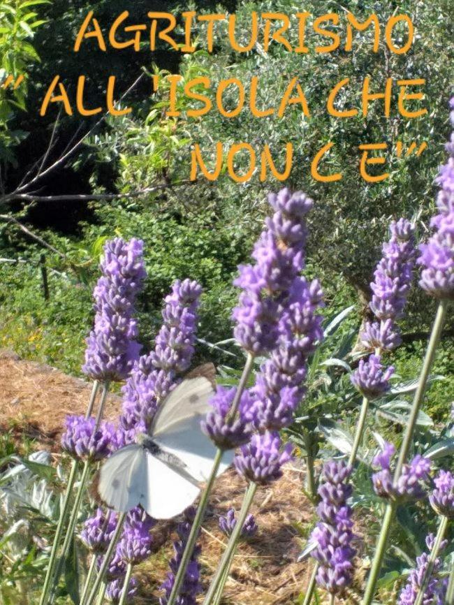 Séjour à la ferme Agriturismo All'isola Che Non C'e' *