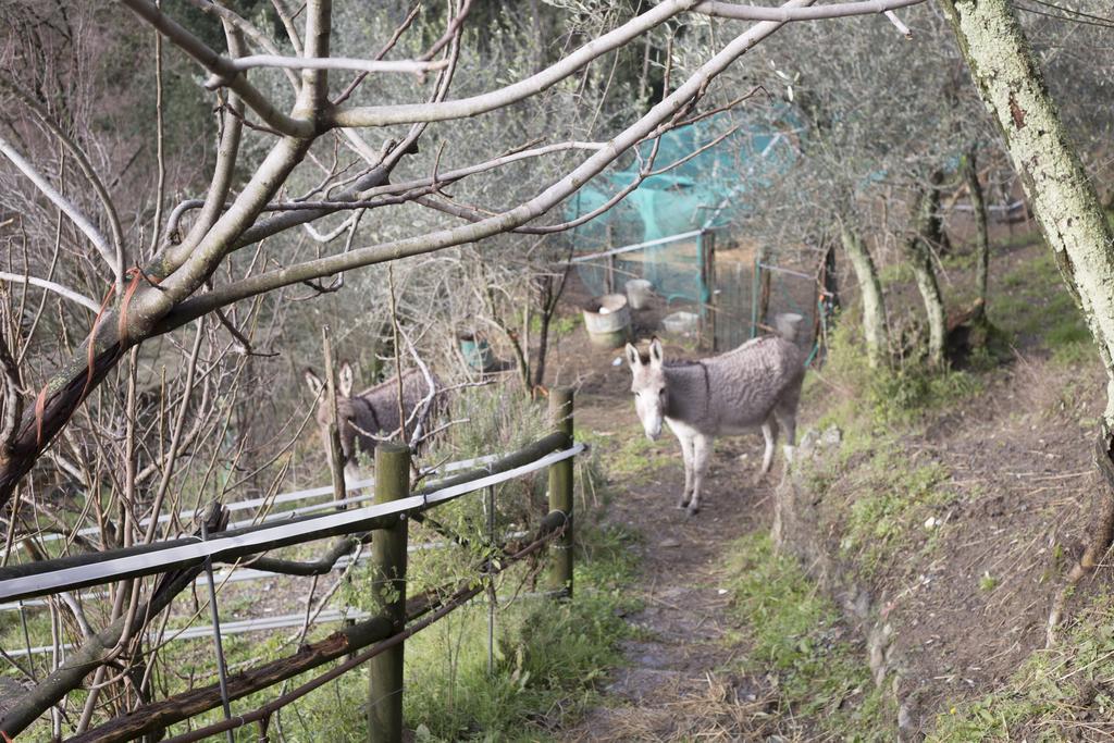 Agriturismo All'isola Che Non C'e' * La Spezia