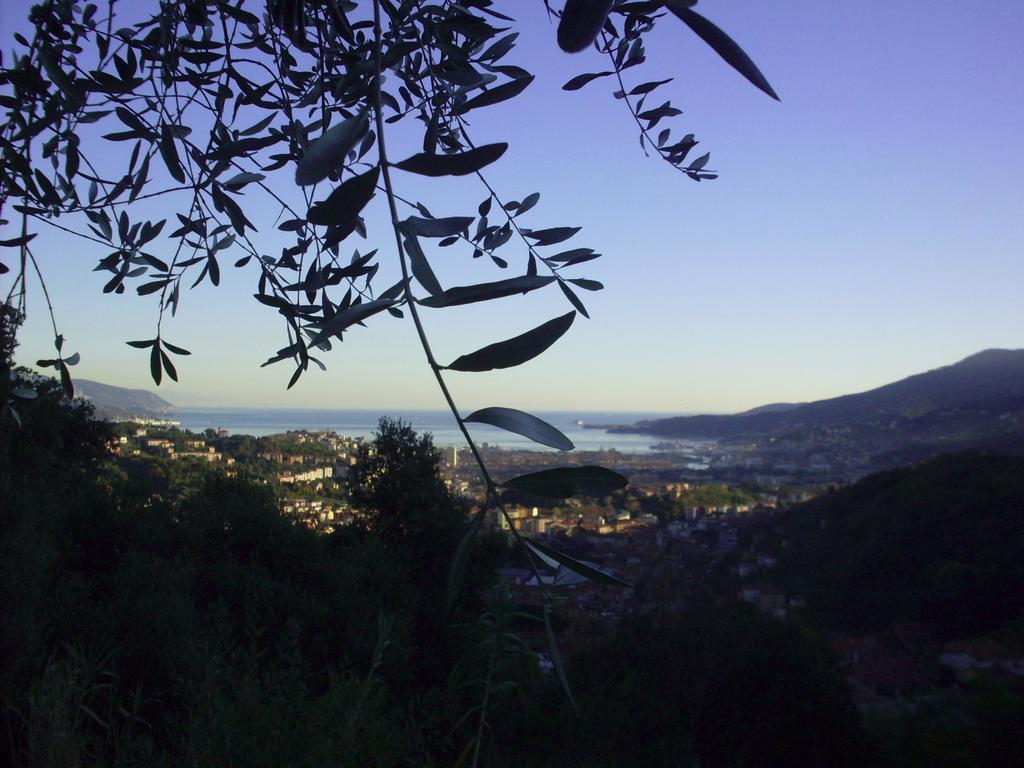 Agriturismo All'isola Che Non C'e'