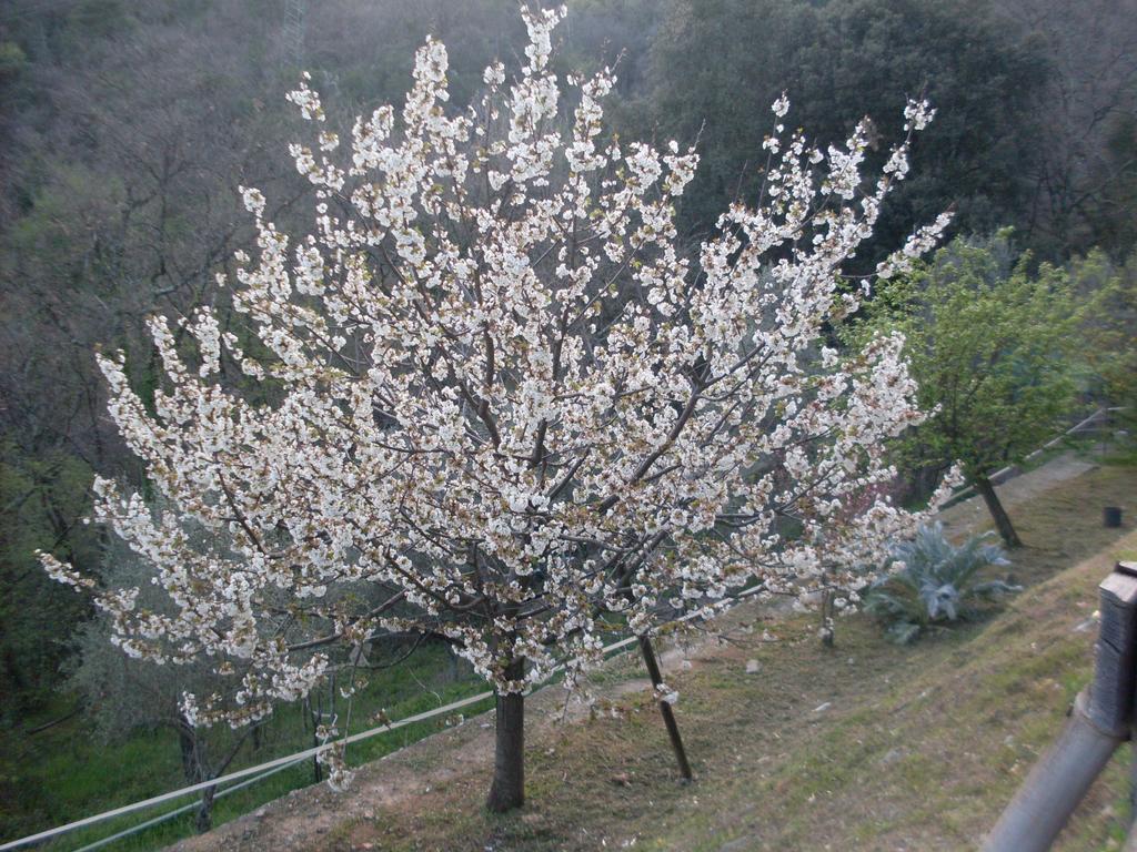 Agriturismo All'isola Che Non C'e'