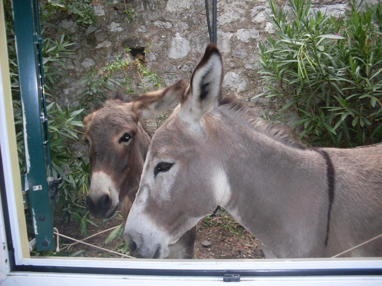 Agriturismo All'isola Che Non C'e' Séjour à la ferme *